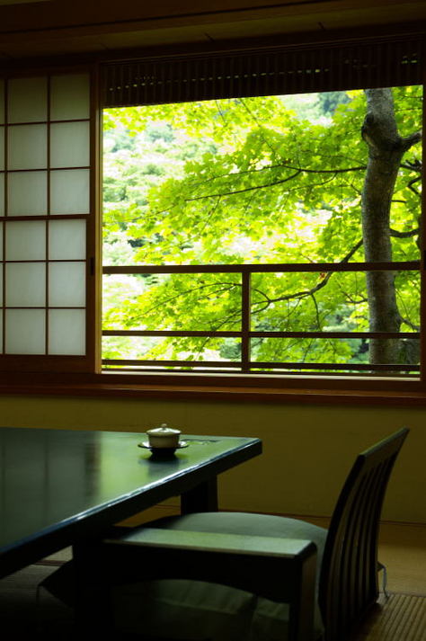 A room surrounded by greenery