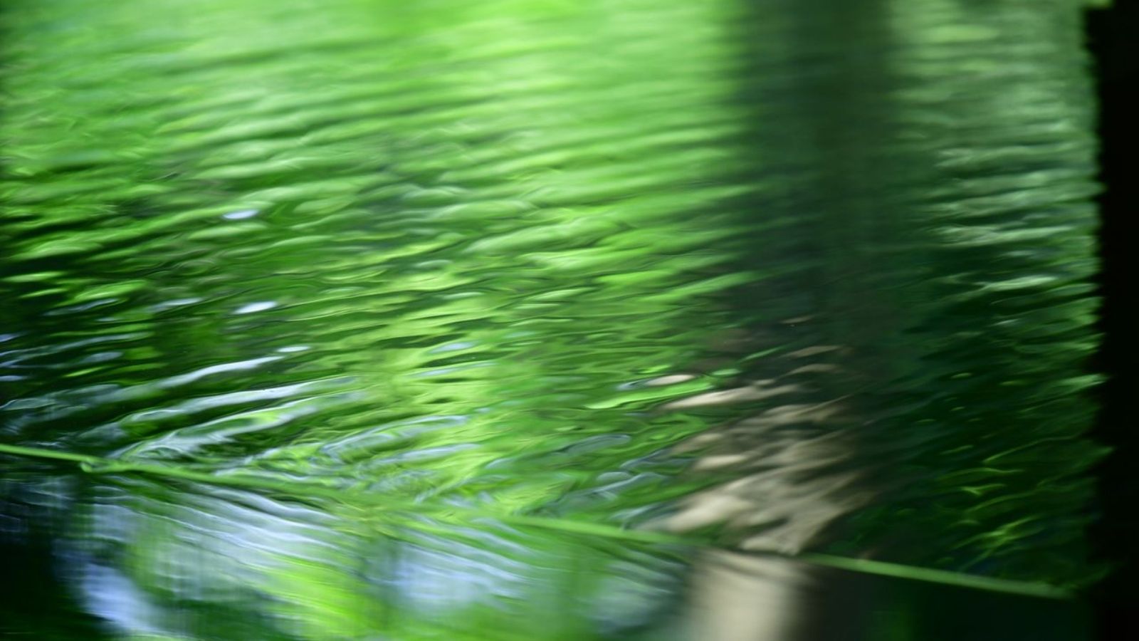 大浴場（男性）