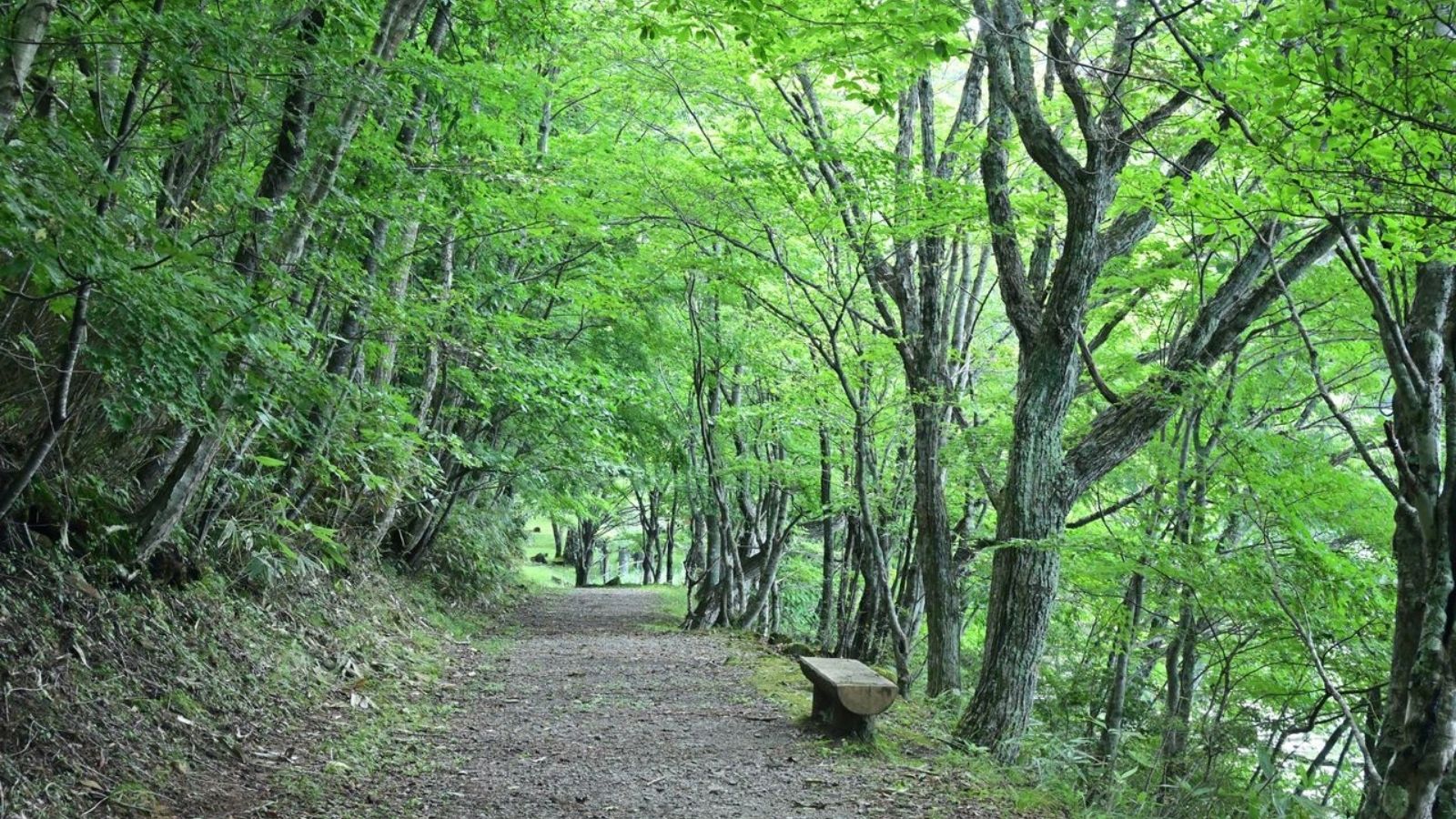 観音沼森林公園