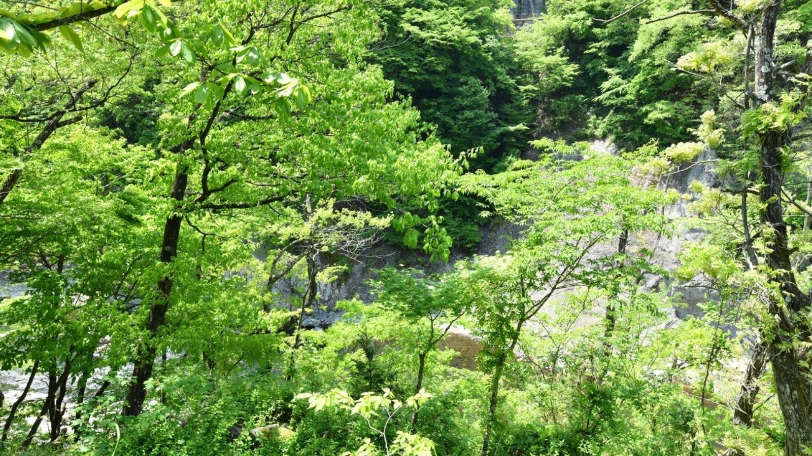 貸切露天　三日月