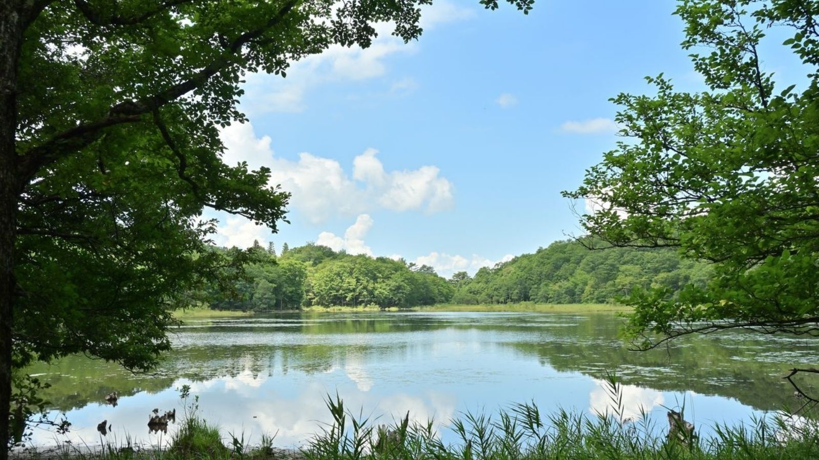 観音沼森林公園