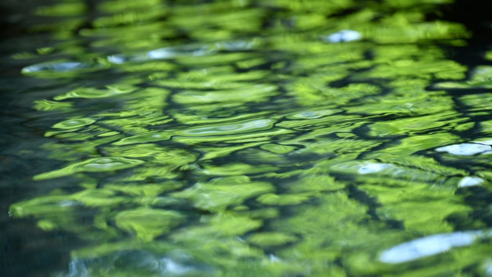 貸切露天　繊月