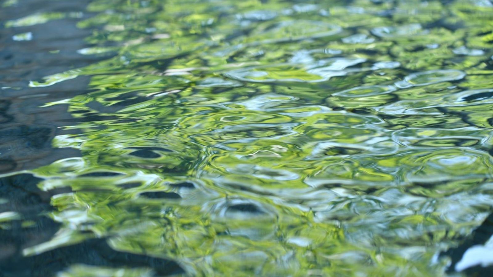 貸切露天　三日月