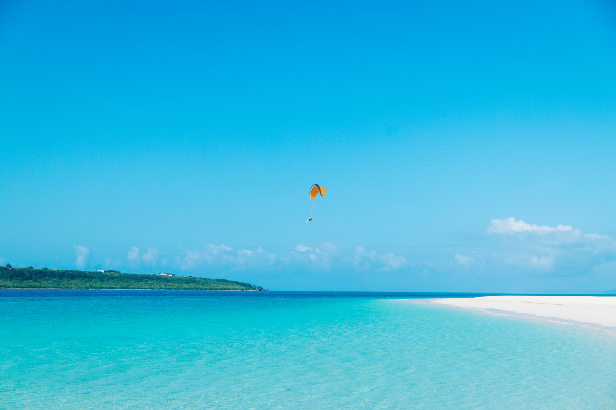 パラグライディング