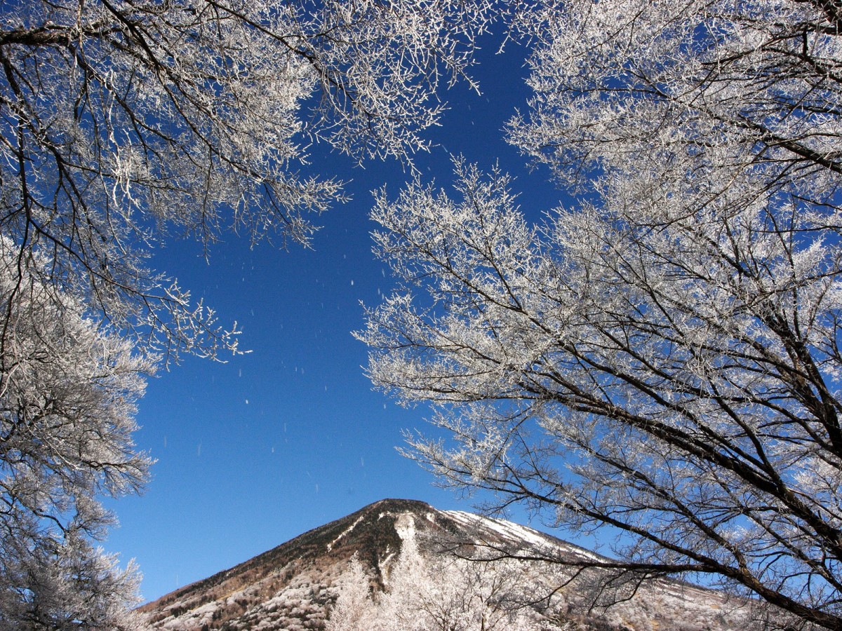 【周辺観光「男体山」／徒歩5分】冬化粧も美しい男体山