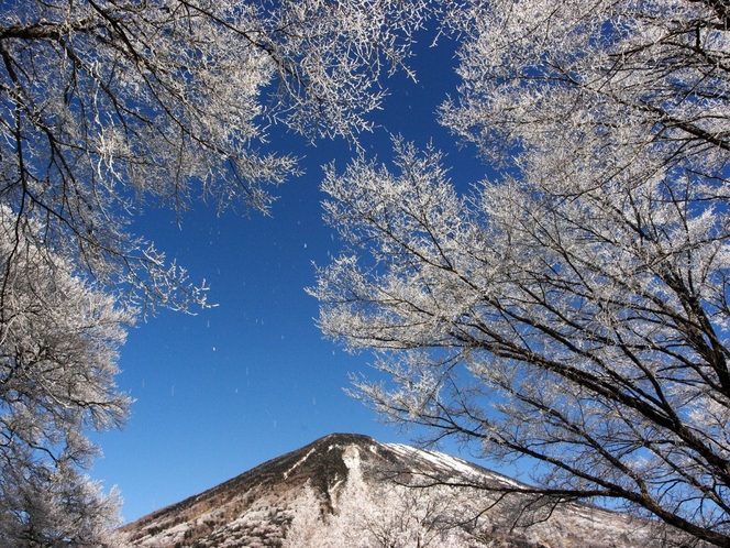 【周辺観光「男体山」／徒歩5分】冬化粧も美しい男体山