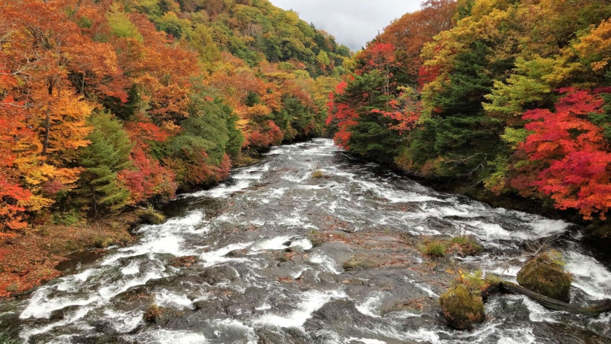 【周辺観光「竜頭ノ滝」／車で10分】秋は雄大な紅葉が見られる