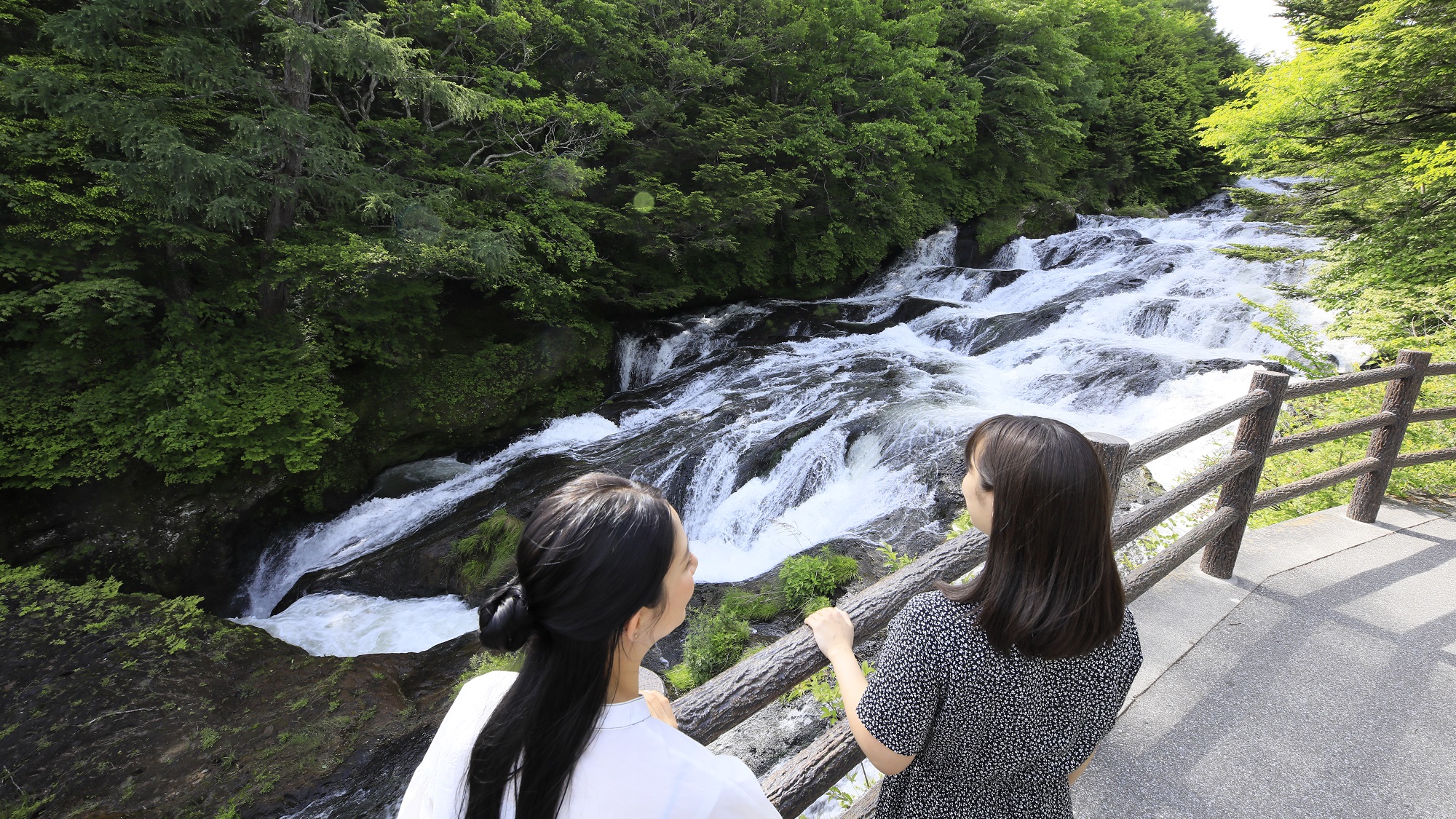 【周辺観光「竜頭ノ滝」／車で10分】二つに分かれた滝と、水の流れる様が竜の頭の様に見える事が由来