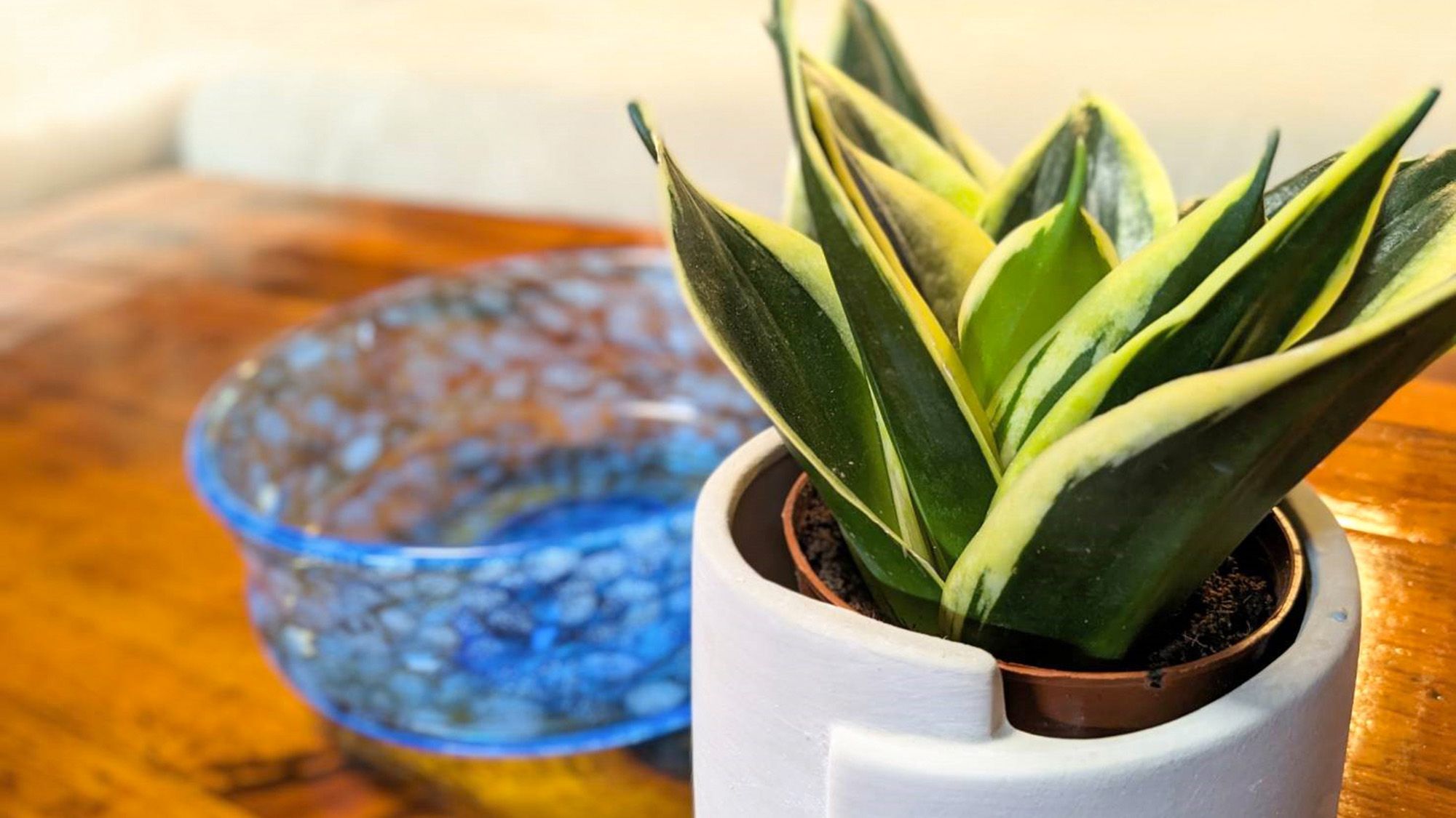 ・【2LDK個室（オキナワン）】ナチュラルな雰囲気のインテリア