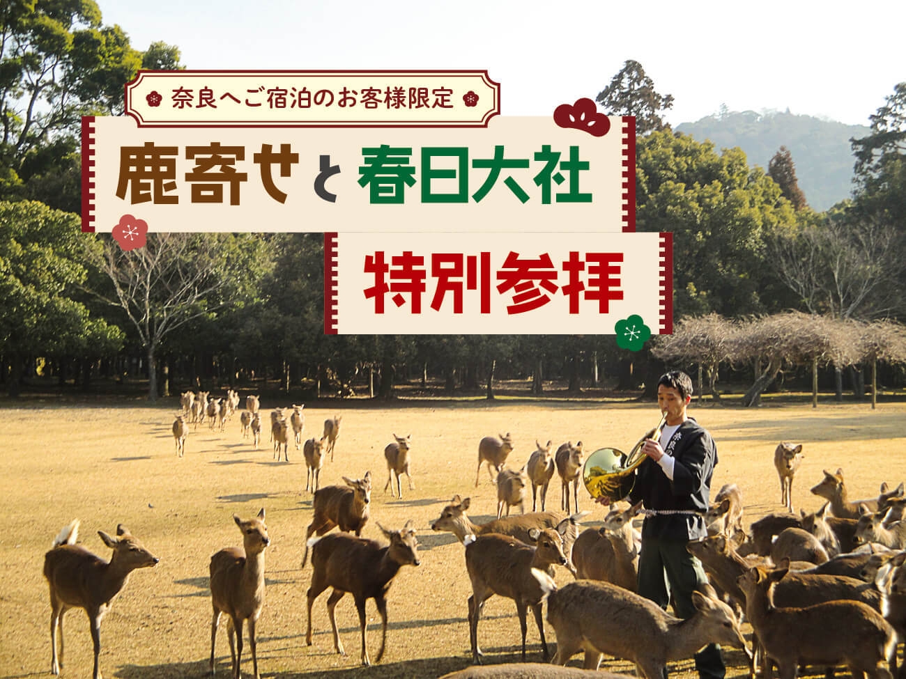 【奈良の冬を満喫】「鹿寄せと春日大社 特別参拝」＆白い鹿のマスコット『すがちゃん』付き／食事なし