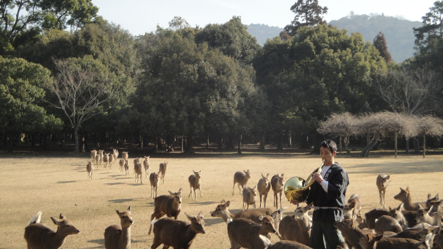 【楽天月末セール】奈良の伝統食に名物料理も楽しめる♪旅の朝を彩る「奈良の朝ごはん」／朝食付き