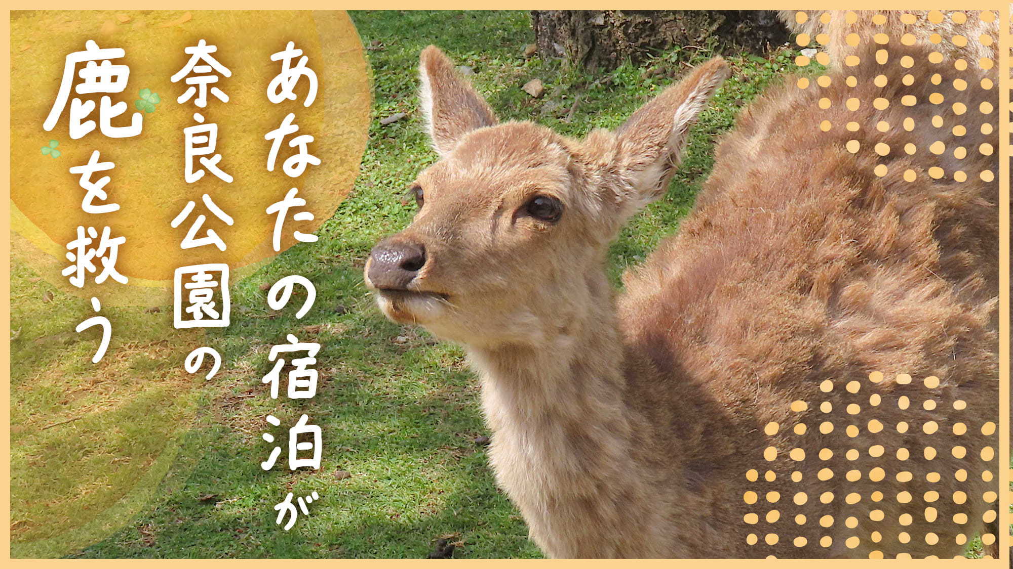 【ホテル日航奈良×鹿愛護会】あなたの旅が、奈良の鹿の未来につながる★鹿せんべい付き／食事なし