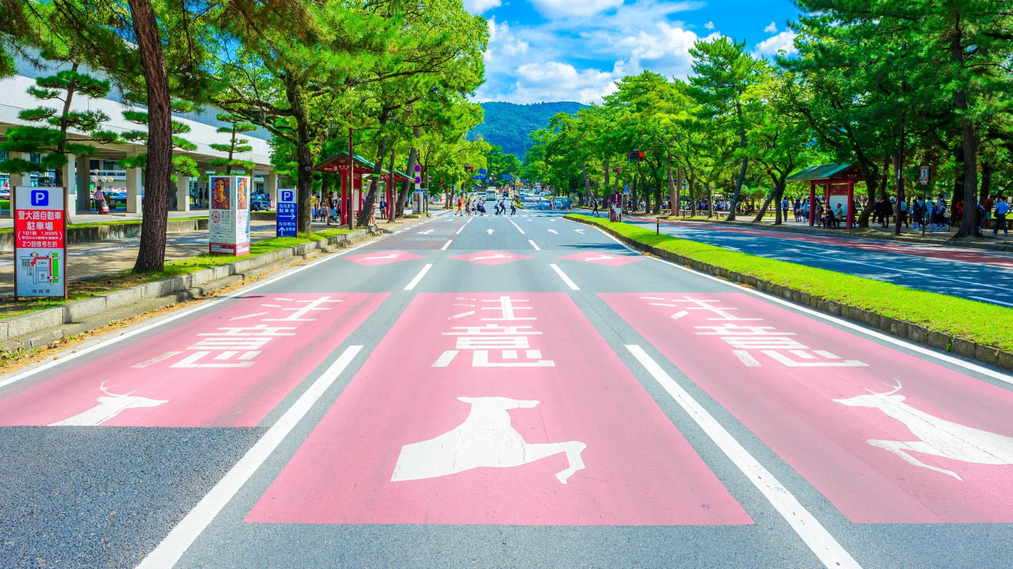 車旅にオススメ★ホテル地下「奈良市営駐車場 24時間利用」付き宿泊プラン／食事なし