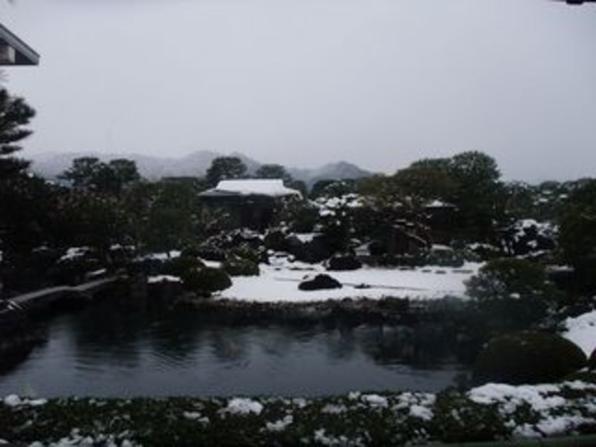 冬の池庭