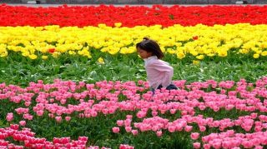 さぎの湯温泉　さぎの湯荘 写真・動画