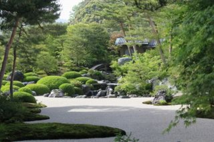 夏の美術館庭園