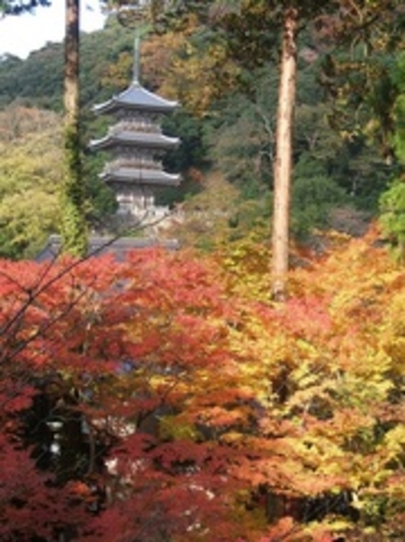 清水寺の紅葉　縦