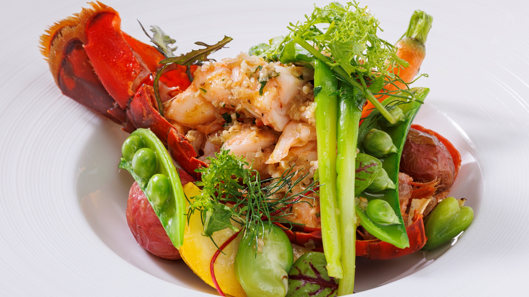 夏メニュー　オマール海老のグリル