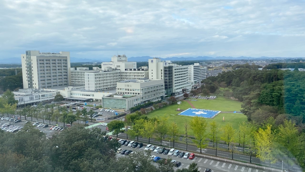 高層階からの景色(北側)