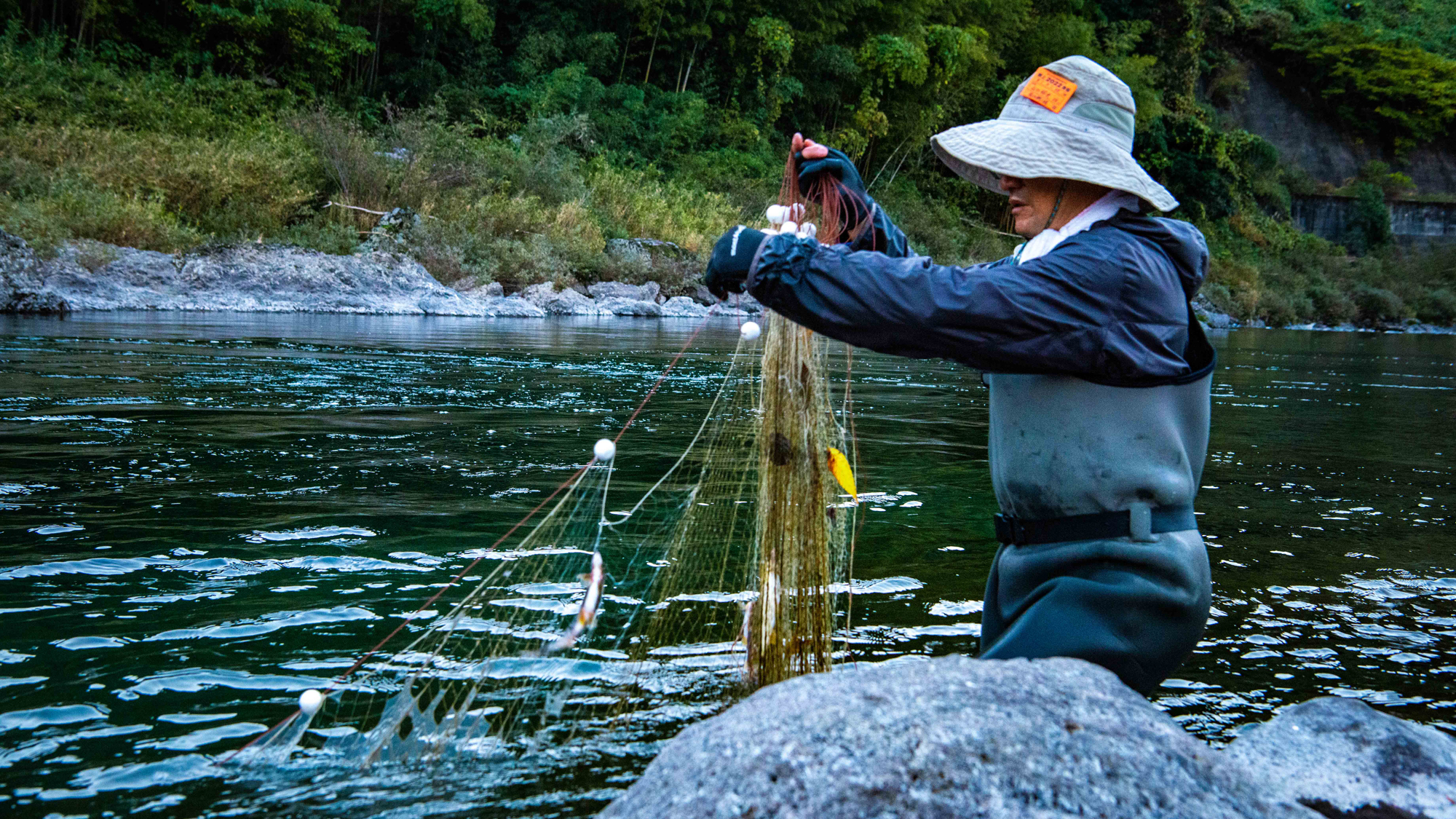 【亭主が調達した魚をご提供します】
