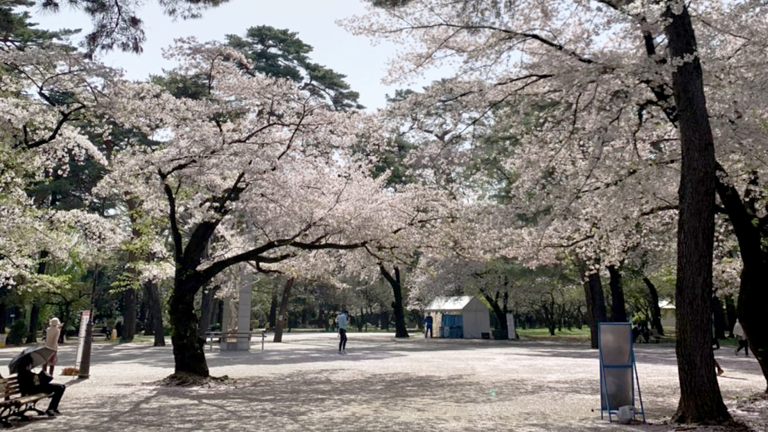 大宮公園　ホテルより徒歩20分　四季折々の変化が楽しめる、埼玉県で一番利用数の多い県営公園