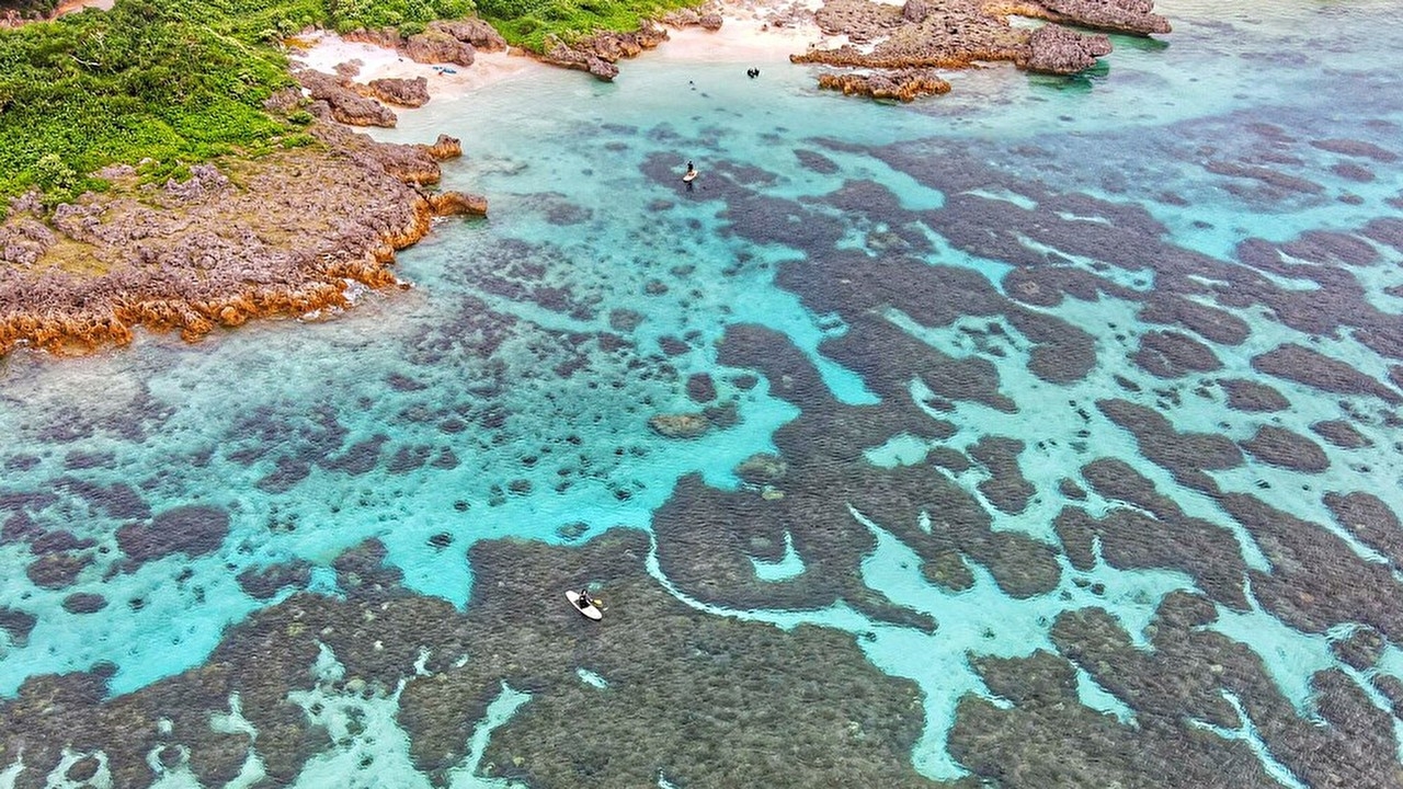 【春SALE】×連泊  ご予約は2/19まで！カジュアルホテルでのスマートステイ