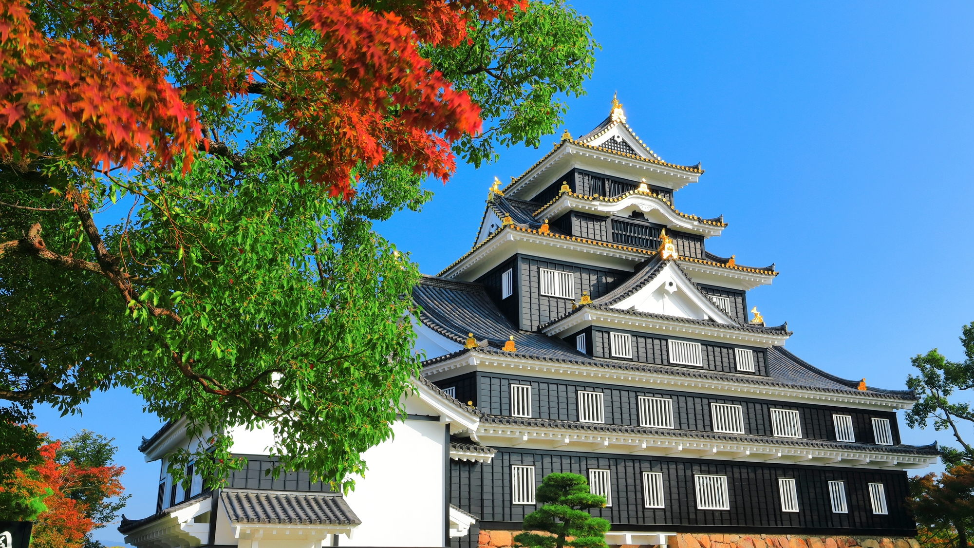 【当館から徒歩で約30分】珍しい不等辺五角形の天守台を持ち、別名は烏城とも呼ばれる「岡山城」