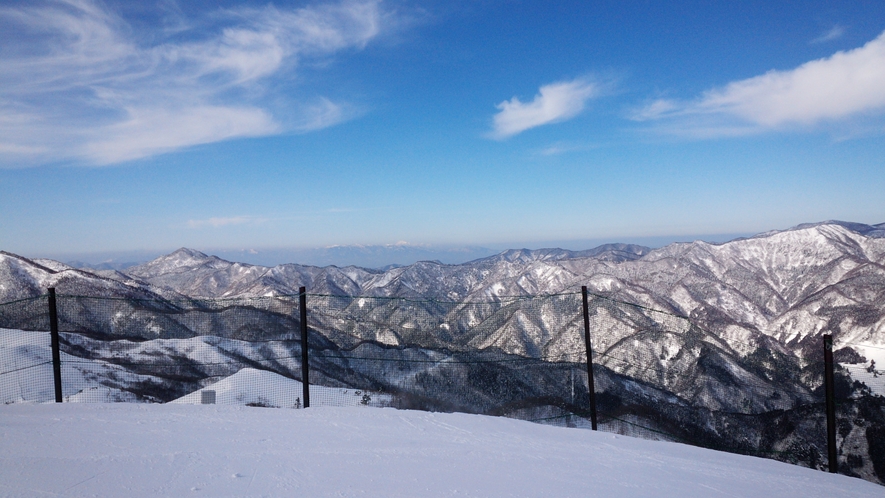 ハチ北山頂