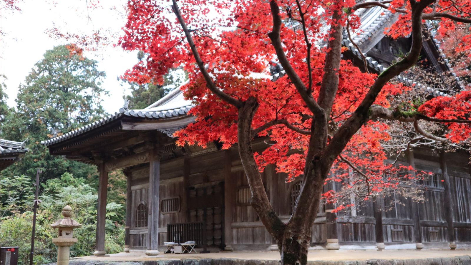 【如法寺】