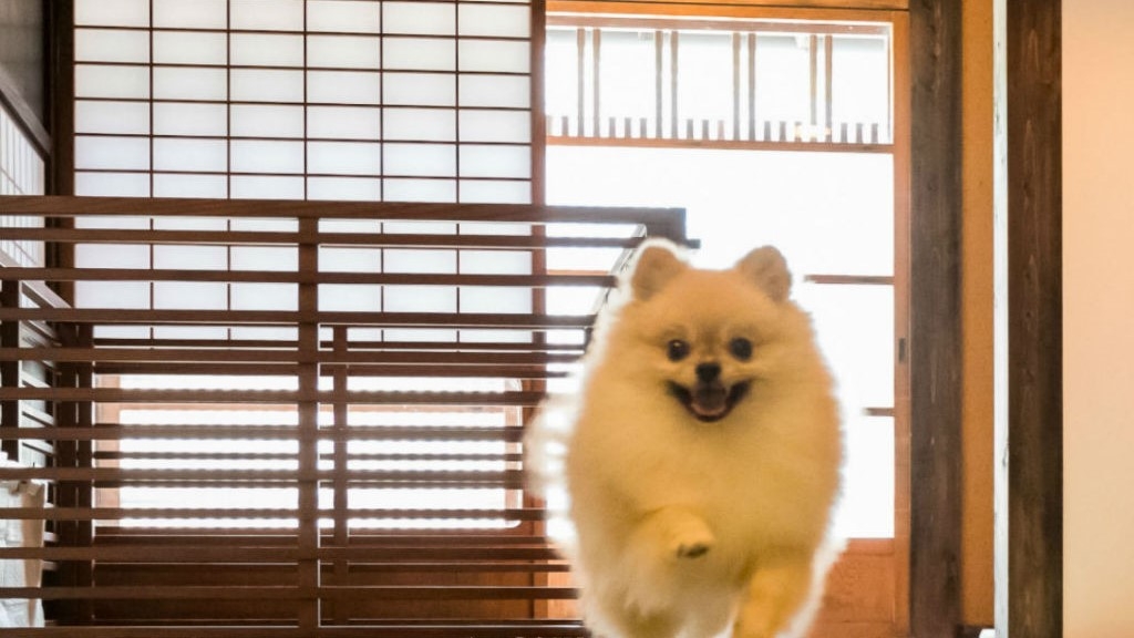 【ペットOK】自然と歴史豊かな八女で愛犬と贅沢ステイ。スタンダード2食付プラン（レストラン）