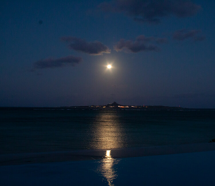 神秘的な光の道「ムーンロード」を体感