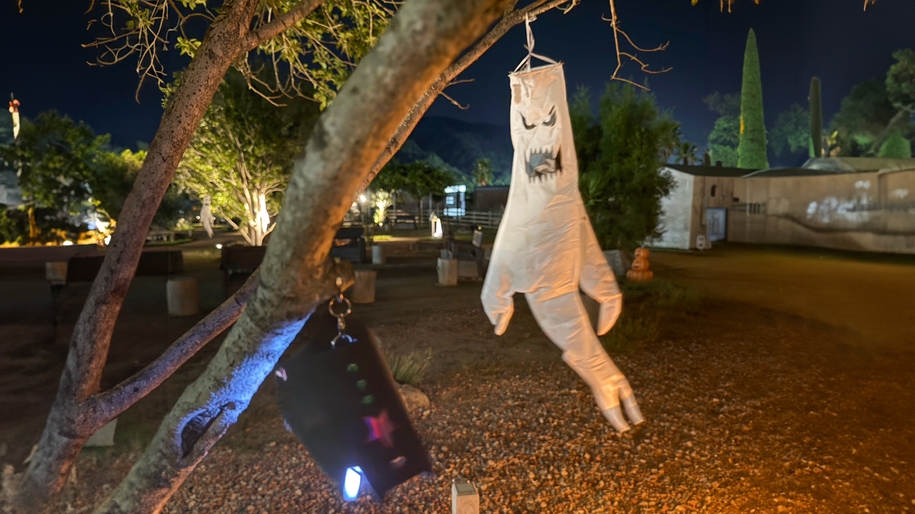 ★Halloween Night☆夜のおばけ探し＆射的＆手持ち花火！夕食17時〜100分／朝夕2食付