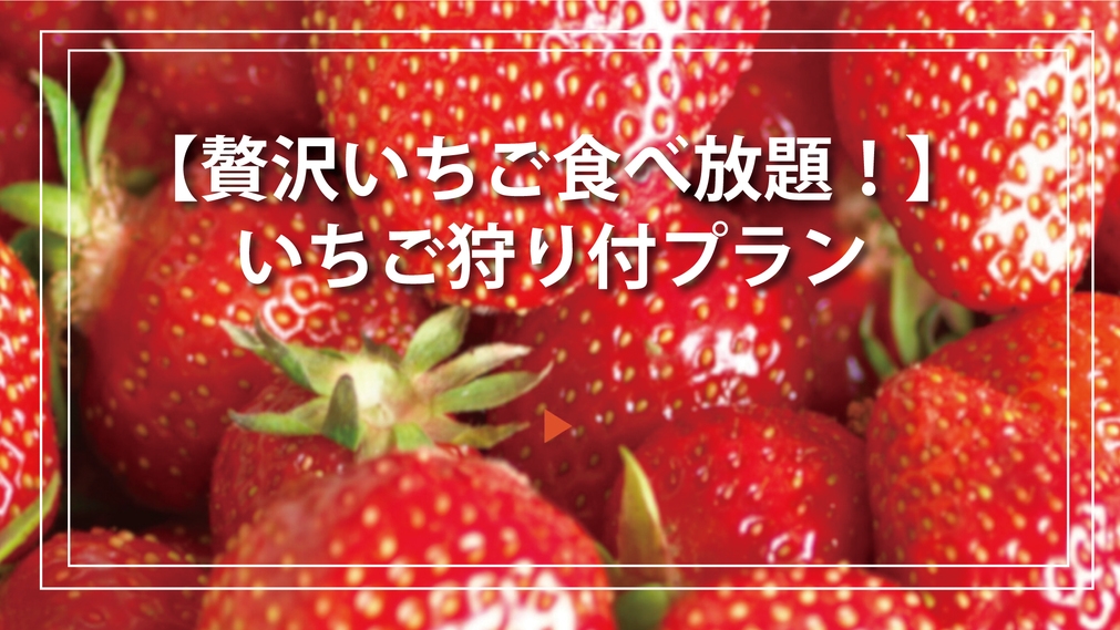 贅沢・いちご食べ放題！いちご狩り付プラン☆夕食BBQ☆朝食はホテルブッフェ☆キャンプファイヤー体験も