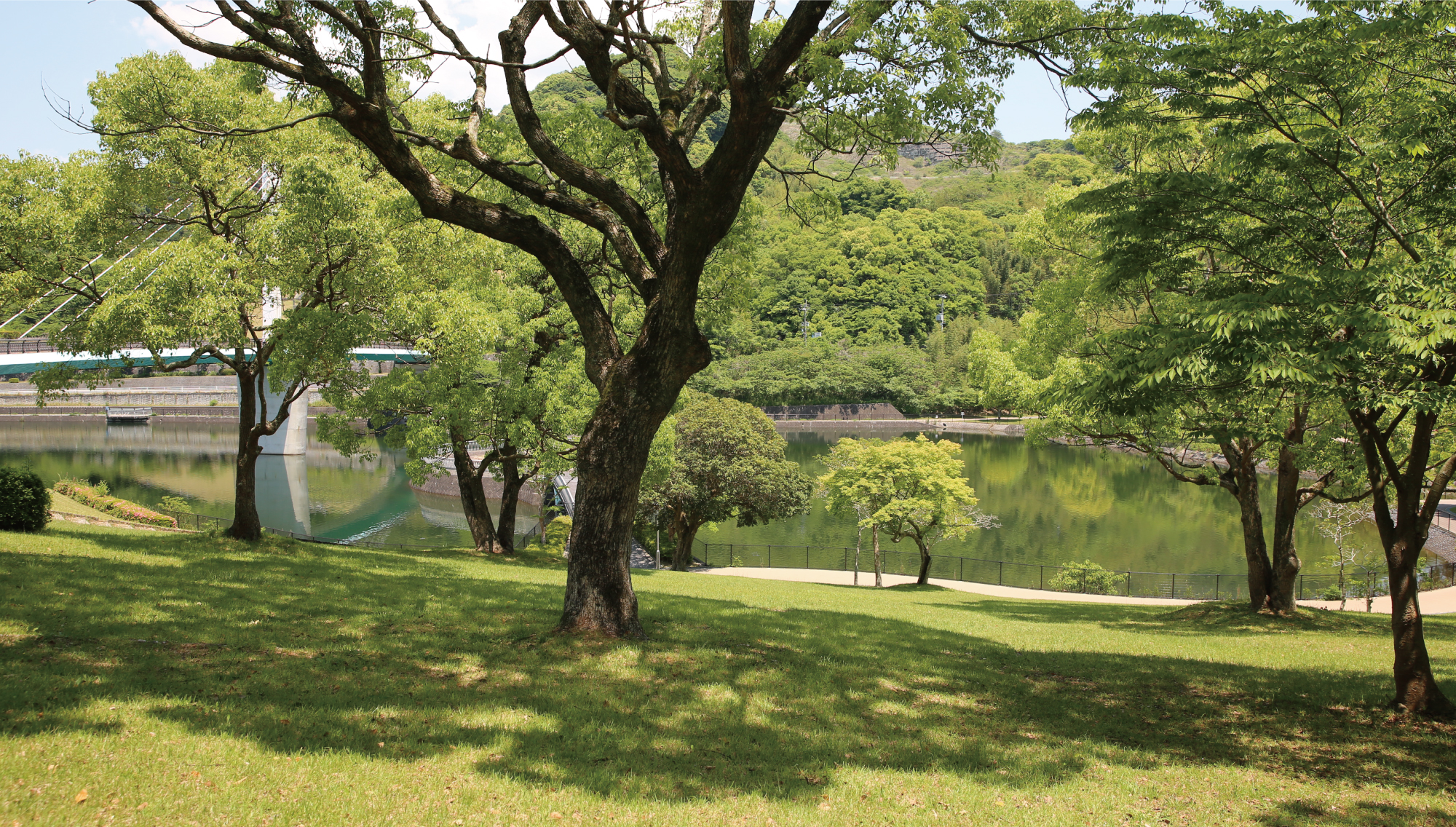 筑豊緑地の芝生広場