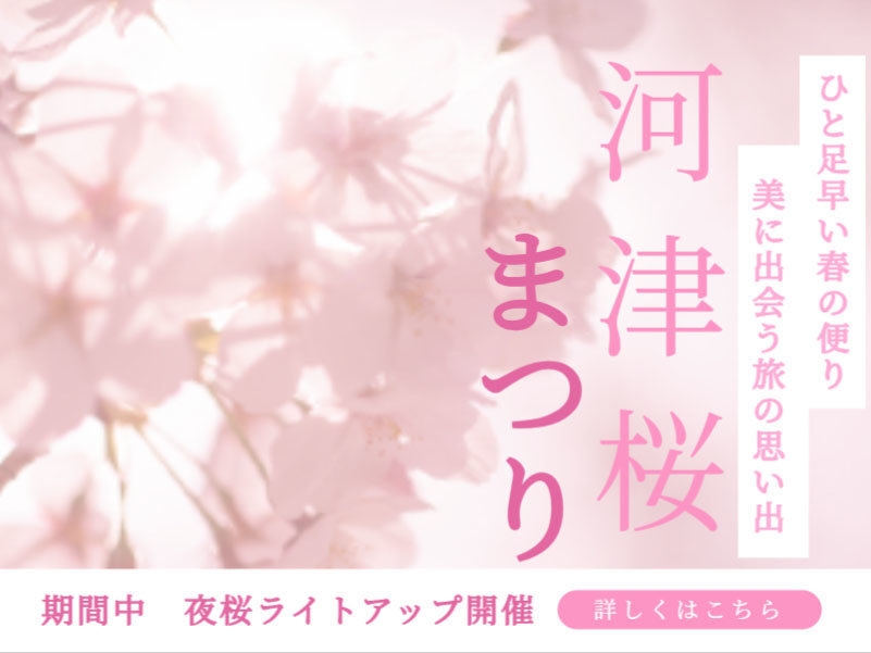 ＜河津桜＞ 春の彩りを先取り♪-特典付-［ST2食付］