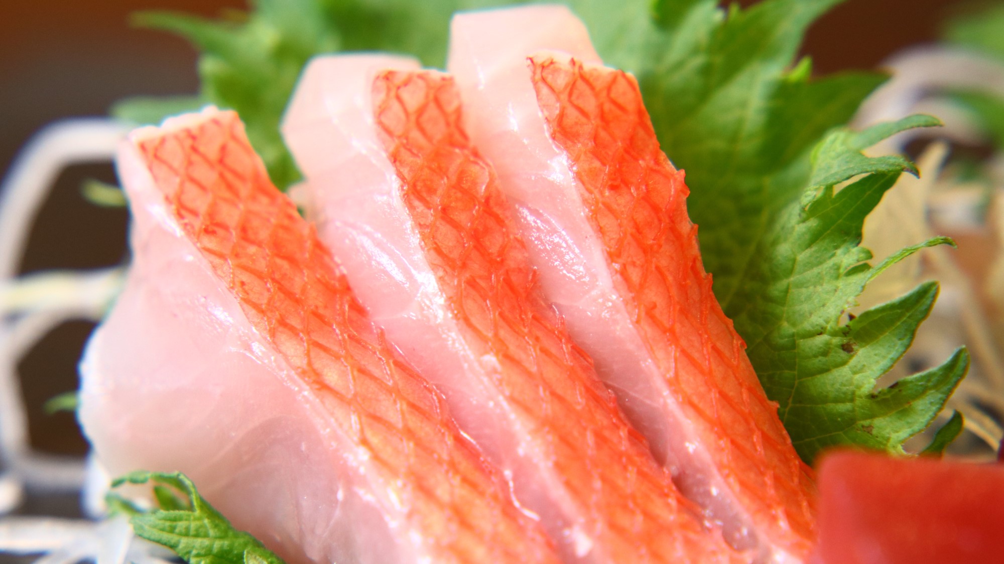伊豆ならではの新鮮海食材をお召し上がりください。 