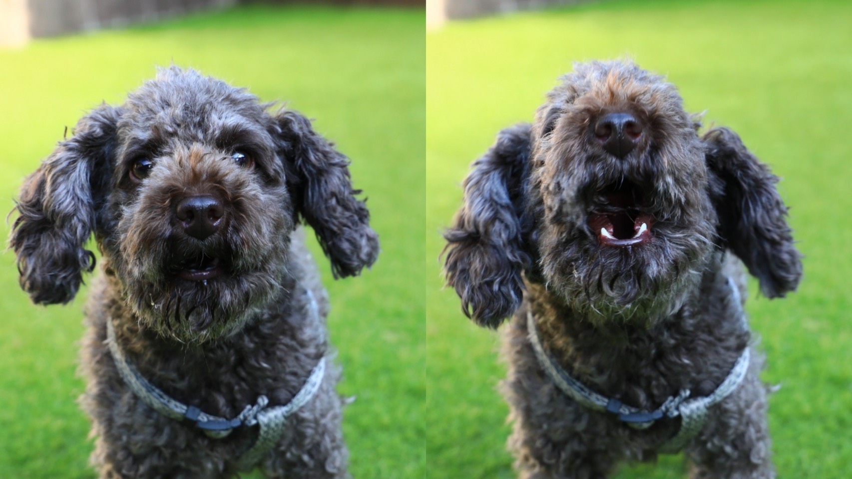 大切な家族と一緒に旅をしよう♪