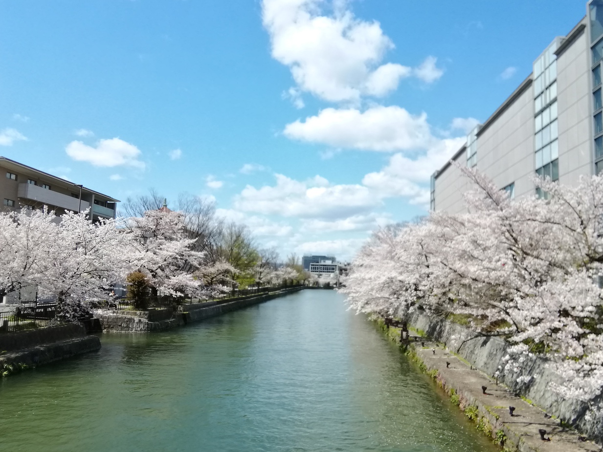 素敵な女子会ワイン旅プラン