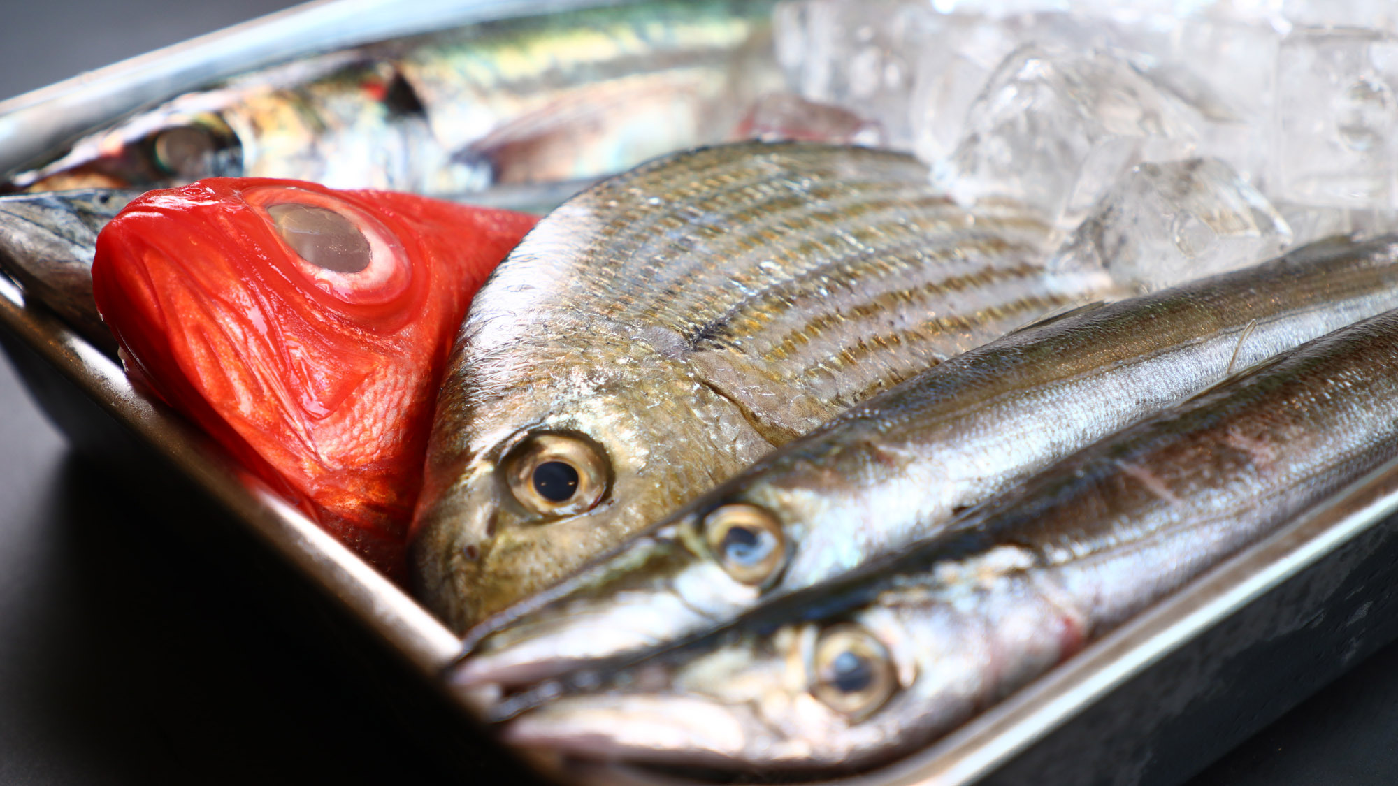 グレードアップ◆伊豆の地魚やお肉を贅沢に◆金目鯛煮付け＆旬魚のお造り＆伊豆のお肉を味わう特選和食