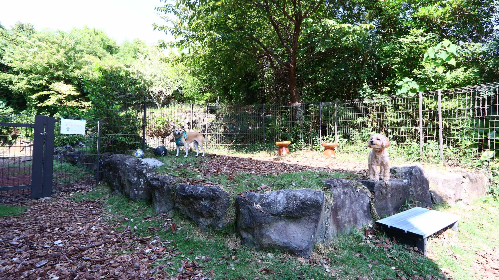 施設_ドッグラン_わんちゃんに優しいウッドチップのドッグラン*