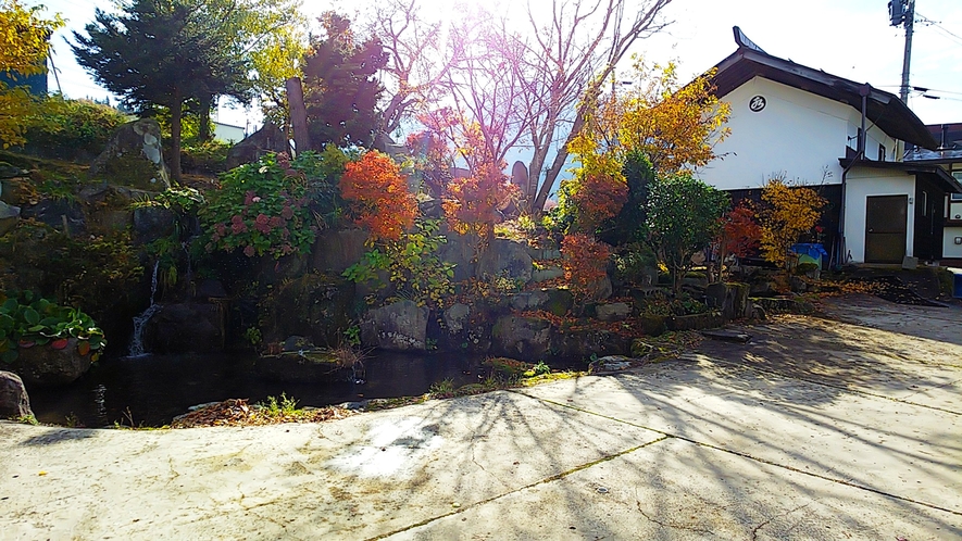 秋の前庭
