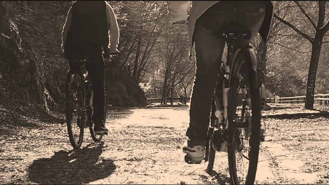 【カップル限定】電動アシスト付き自転車で上北山村の大自然を肌で感じる☆サイクリングプラン♪