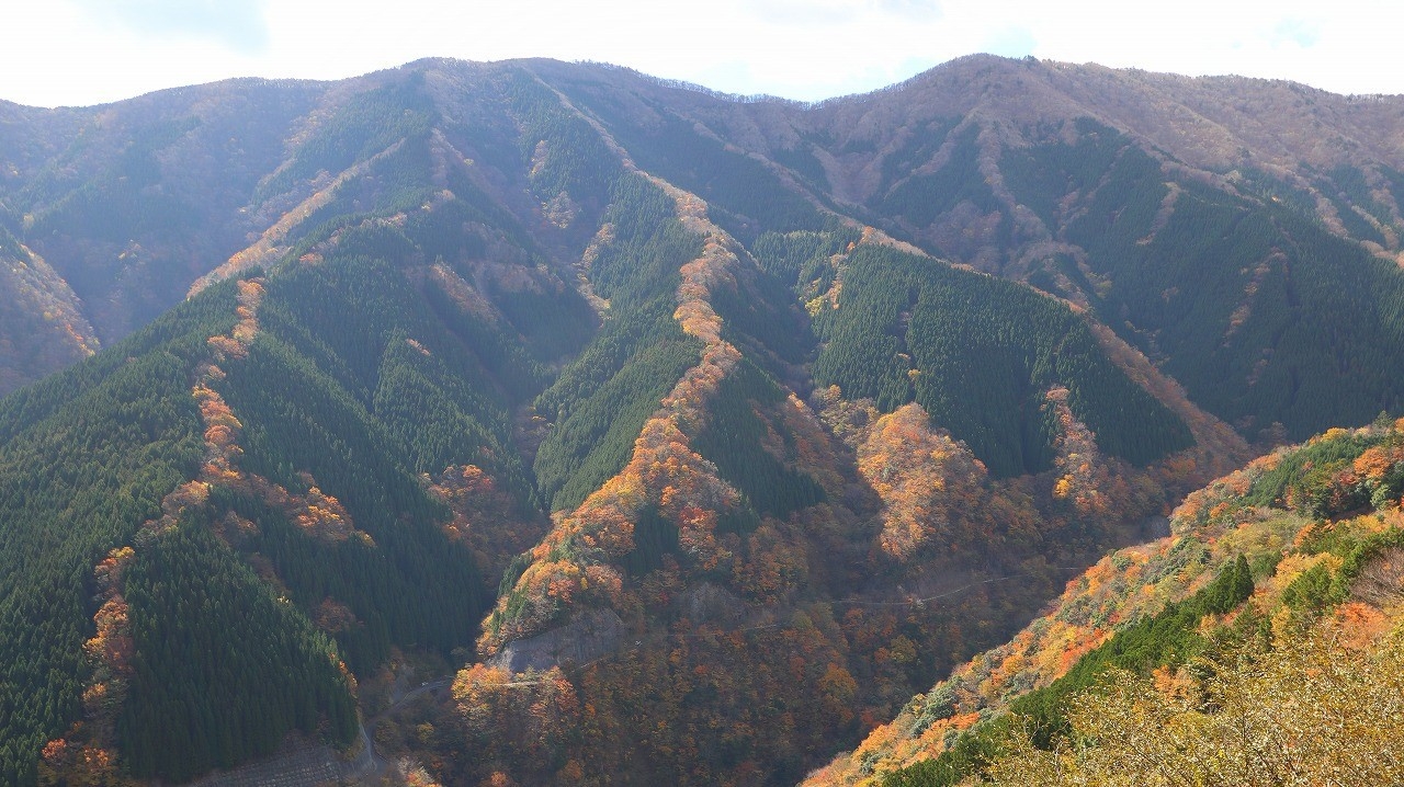 【1日3組6名様限定】絶景スポット！秋の”ナメゴ谷をご案内◆紅葉鑑賞付きプラン♪（2食付）