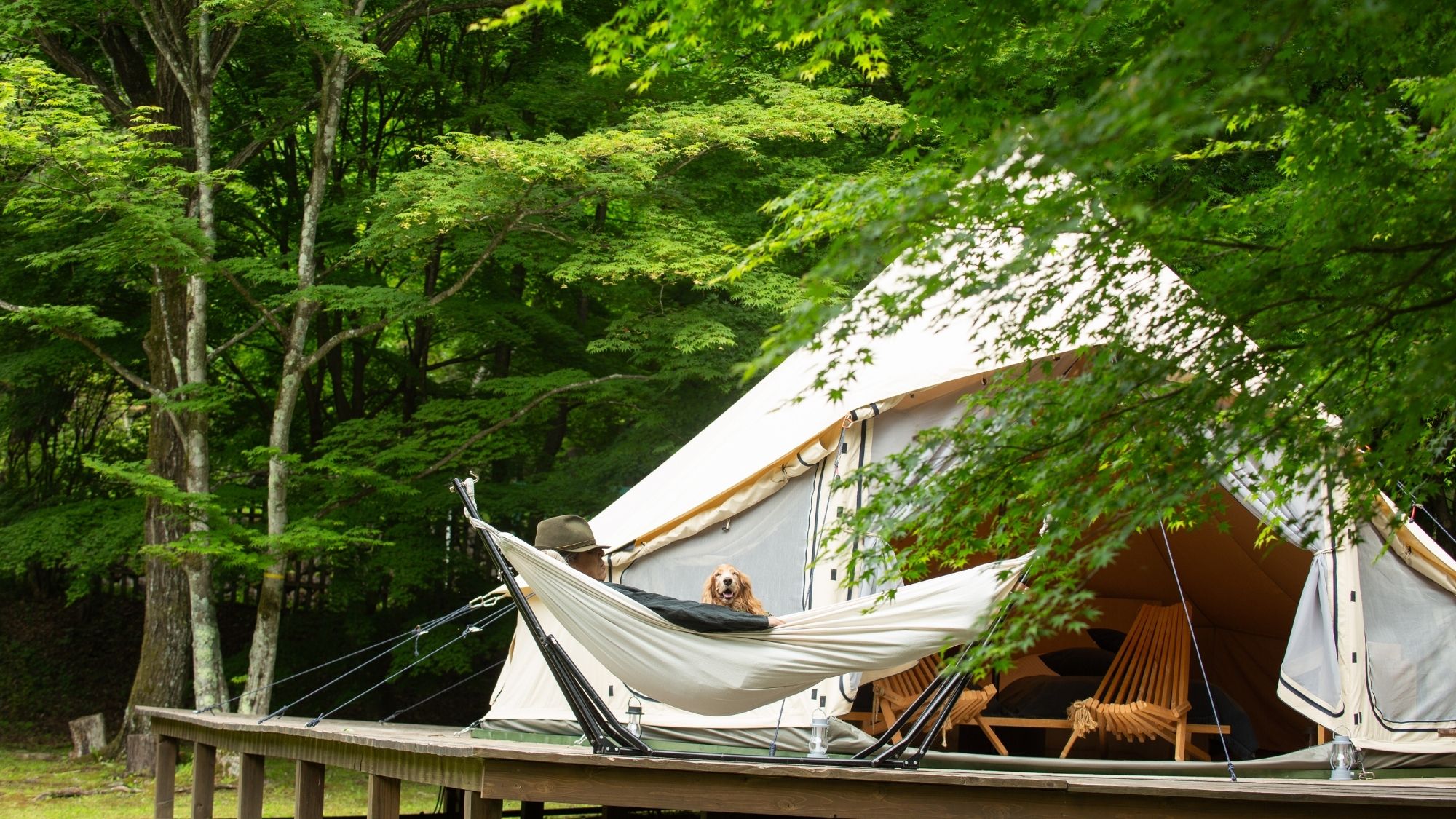 木々に囲まれたテント前には、心地よいハンモックをご用意