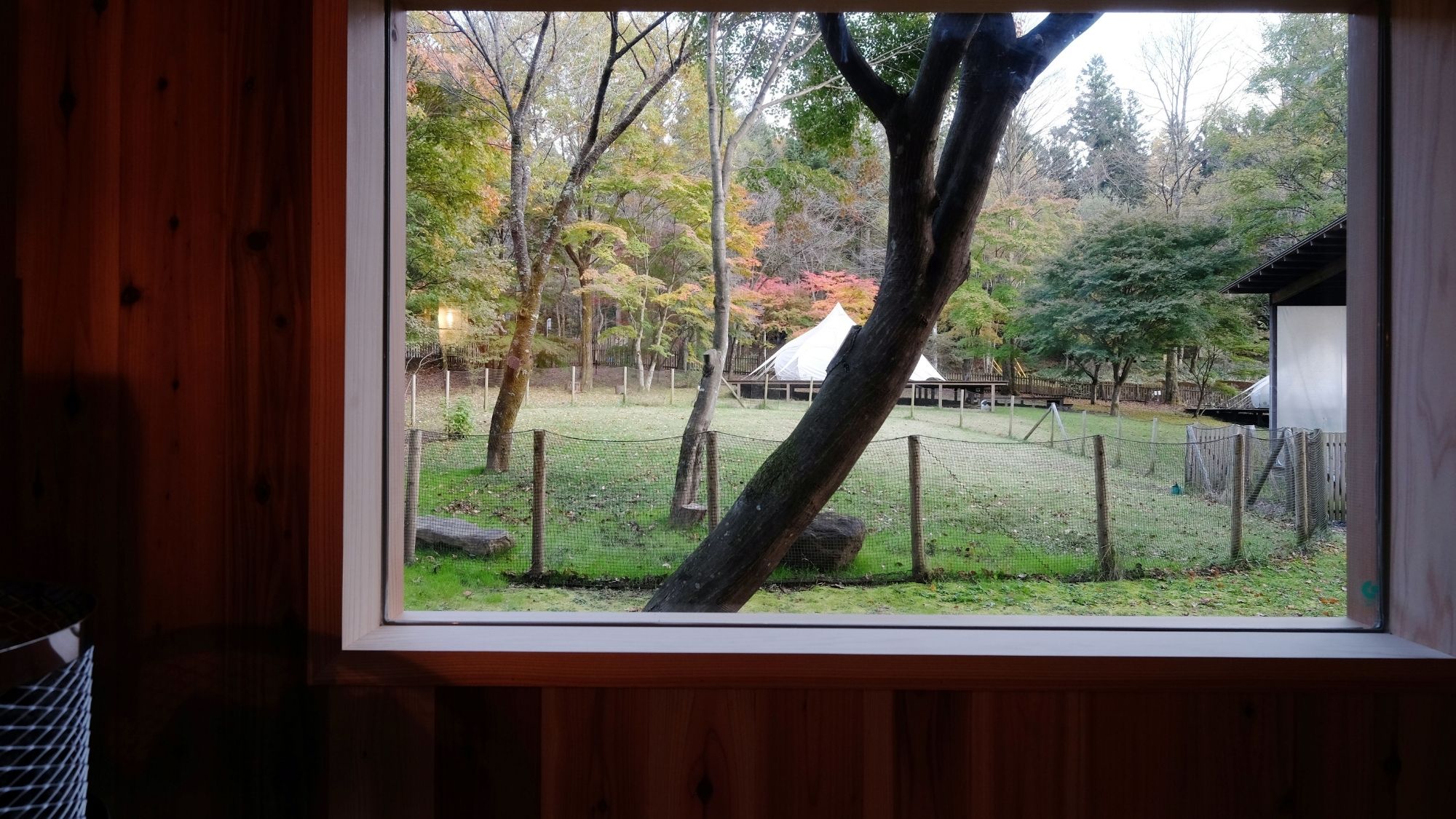 大きなガラス窓から、ドッグランで遊ぶ愛犬と家族を眺めながら、セルフロウリュを味わえます