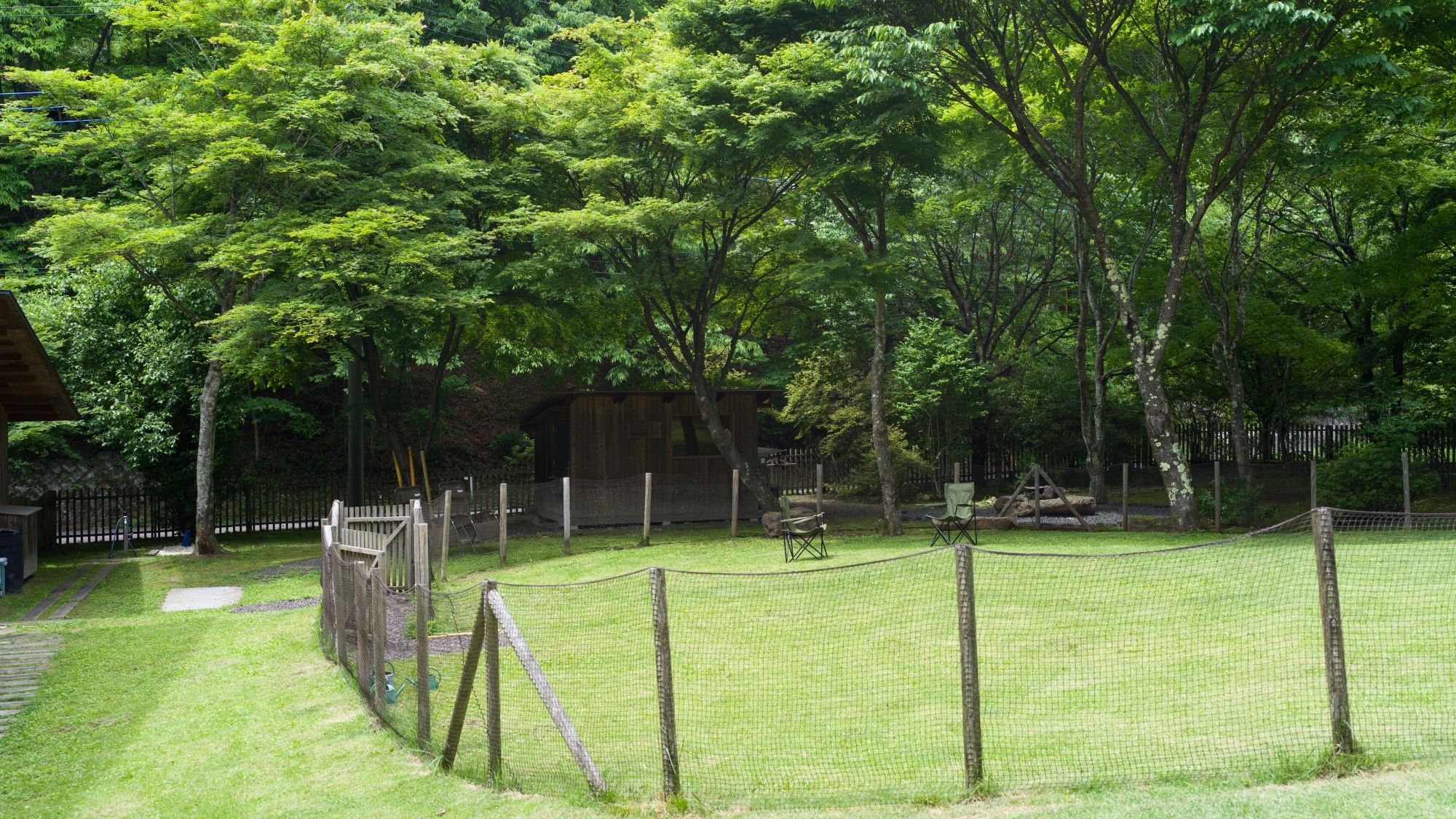 全面天然芝を敷き詰めたワンちゃんの足腰にやさしいドッグラン