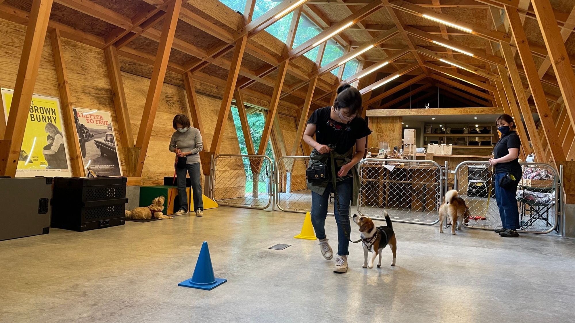 愛犬旅マナーアッププラン風景