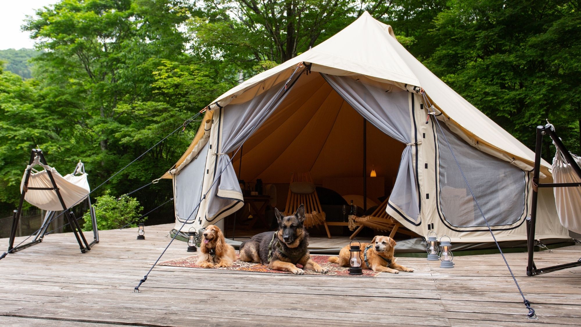 広々としたデッキで、愛犬と一緒にゆったりと