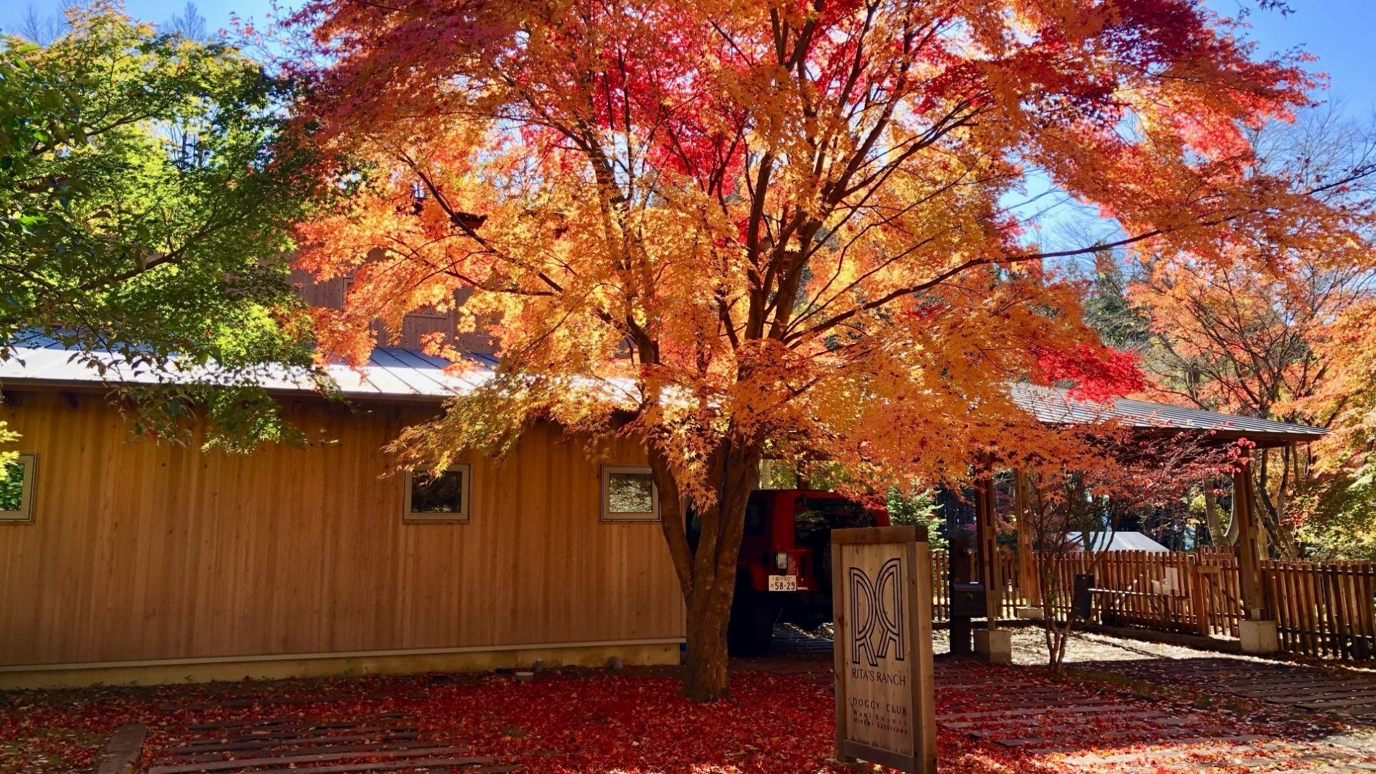 四季折々の風景を感じながら、特別なひとときをお過ごしください♪