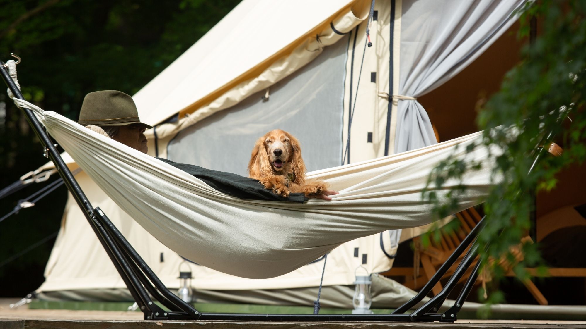 テント前のハンモックは、ペットと一緒に過ごせる癒しの空間